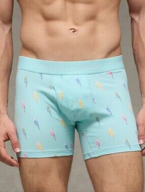 American Eagle Outfitters Men's Boxer Brief Underwear New Size Large